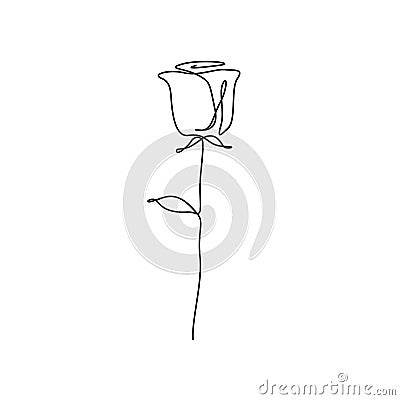 Continuous one line rose flower, minimalism. vector illustration. Vector Illustration
