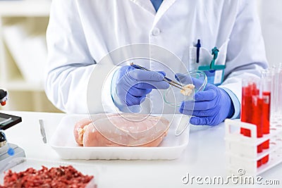 Contol fat mass in to the chicken meat Stock Photo