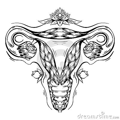 Contour anatomical sketch of the uterus with flower and decoration. Healthy female body. Woman power. Uterus with tube and roses. Vector Illustration
