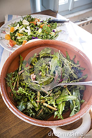 Wild grass salad Stock Photo