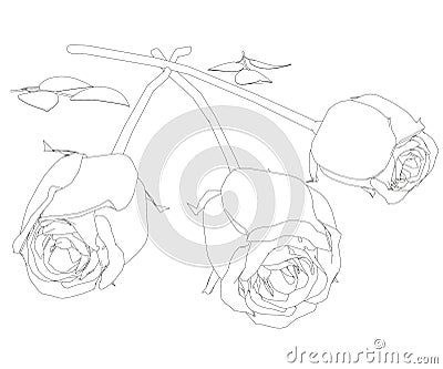 Contour of a bouquet of three roses from black lines isolated on a white background. Vector illustration Vector Illustration