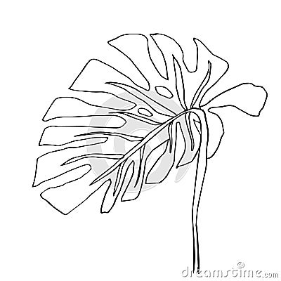 Contour line drawing leaf of monstera. Modern minimalism art, aesthetic cont Vector Illustration