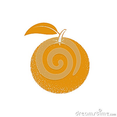 Contour orange on a white background. Fruit. Vector Illustration