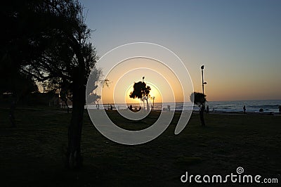 Contour, profile, silhouette, outline, sea recreation area, trees Stock Photo