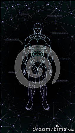 Contour shape human body anatomy neon hologram projected at black background , sci fi interface design element , illustrati Vector Illustration