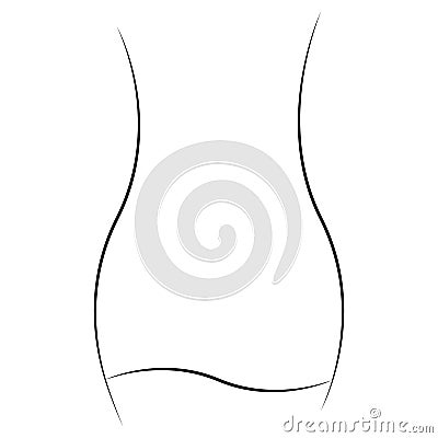 Contours female waist hips dress thin, waist icon diet fit Vector Illustration