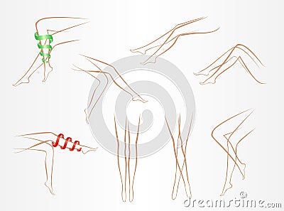 Contours of slender female legs in various poses on a light background Vector Illustration