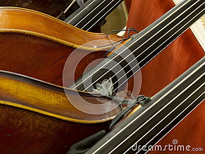 Contrabass closeup Stock Photo