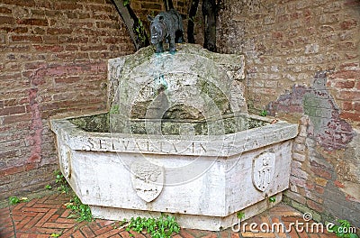 Contrade of Siena, Tuscany, Italy Editorial Stock Photo