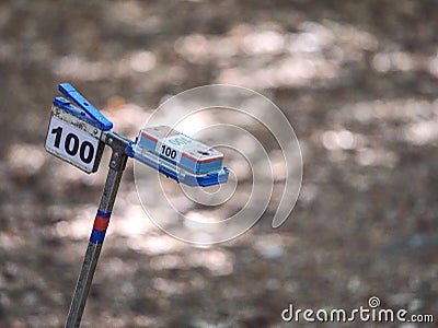 Control Point in Forest Orienteering Competition Stock Photo