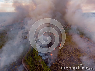 Controlled forest burn aerial drone photo view Stock Photo