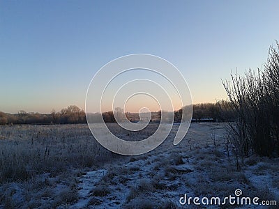 Contryside field in the morning Stock Photo