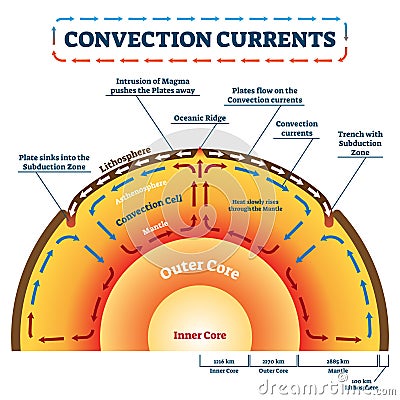 Convection Currents vector illustration. Labeled educational process scheme Vector Illustration