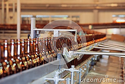 Conveyer line with many beer bottles Stock Photo