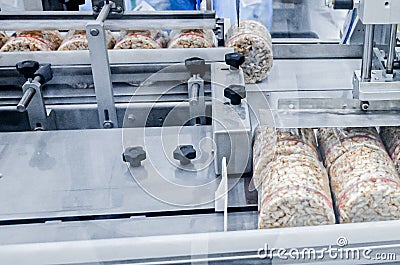 Conveyor automatic tape for the production of useful whole-grain extruder crispbread. Stock Photo