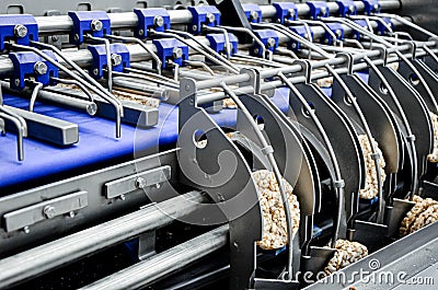 Conveyor automatic tape for the production of useful whole-grain extruder crispbread. Stock Photo