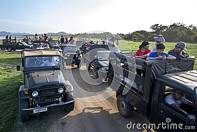 A convoy of safari jeeps carrying tourists parked adjacent to the tank at Minneriya National Park in Sri Lanka. Editorial Stock Photo