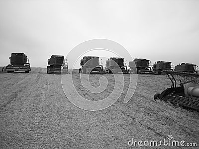 Convoy of tractors Stock Photo