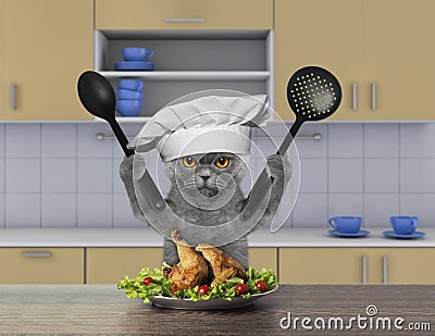 Cook cat sitting in the kitchen Stock Photo