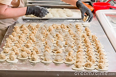 Cook sculpts dumplings. Production of dumplings and ravioli with various fillings Stock Photo