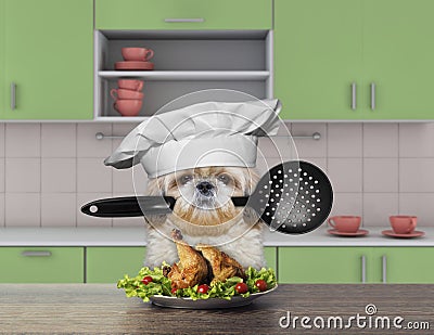 Cook shitzu dog holding a spoon Stock Photo