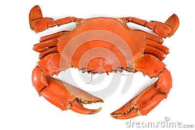 Cooked Blue Crab Stock Photo