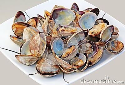 Cooked Clams Stock Photo