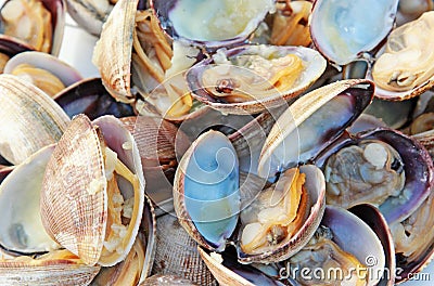 Cooked Clams Stock Photo