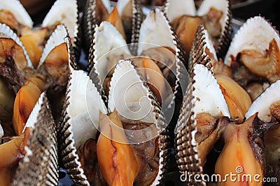 Cooked clams for sale background Stock Photo