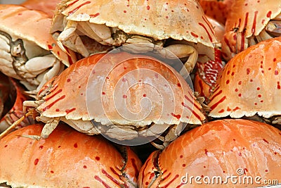 Cooked crabs Stock Photo