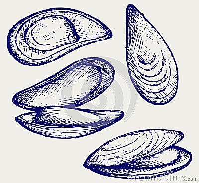 Cooked lipped mussel Vector Illustration