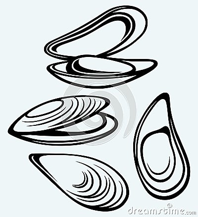 Cooked lipped mussel Vector Illustration