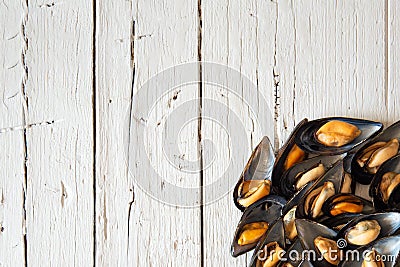 Cooked mussels on white wooden background, flay lay Stock Photo