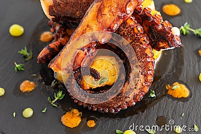 Cooked octopus dish Stock Photo