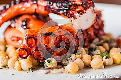 Cooked Octopus Plate with ChickPeas Stock Photo