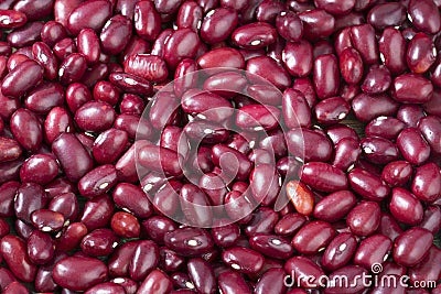 Raw red beans - Phaseolus vulgaris Stock Photo