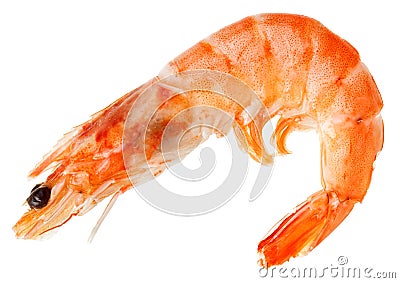 Cooked shelled tiger shrimp Stock Photo