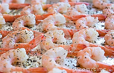 Cooked Shrimp with Herbs Stock Photo