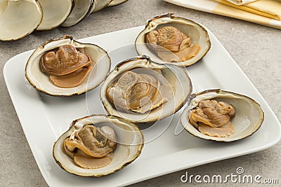Cooked spisula solida or surf clams Stock Photo