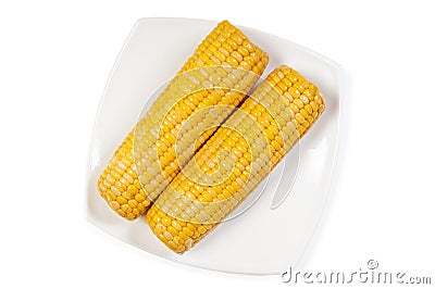 Cooked sweet cob corn on dish isolated Stock Photo