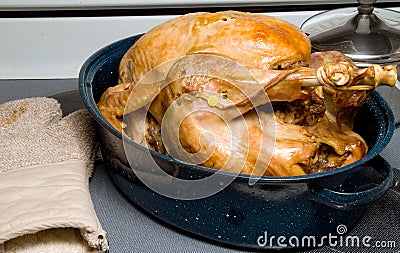 Cooked Turkey Stock Photo