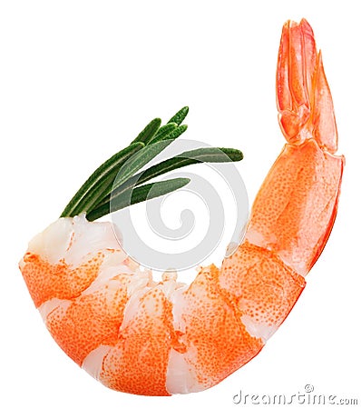 Cooked unshelled tiger shrimp with rosemary twig Stock Photo