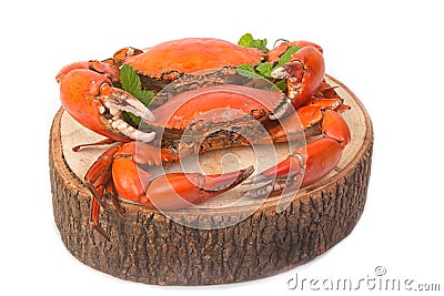 Cooked whole crabs Stock Photo