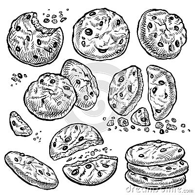 Cookie vector hand drawn illustration. Chocolate chip cookies with crumbs, bitten and whole. Homemade biscuits. Vector Illustration