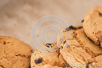 cookies with chocolate in the plate. chocolate chips on cookies close to the lens Stock Photo