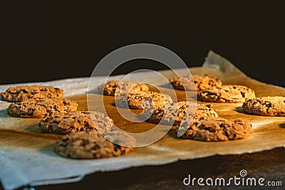 Cookies fresh from the oven. Homemade Cookies fresh from the oven Stock Photo