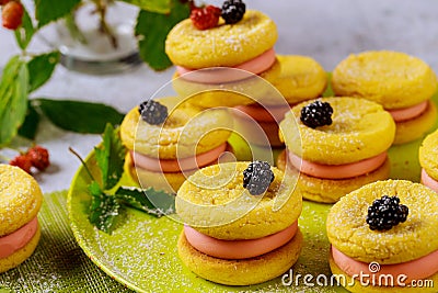 Cookies sandwiches with pink cream and wildberry Stock Photo