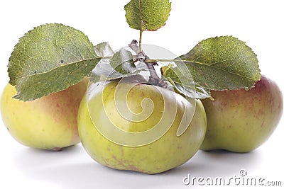 Cooking apples closeup Stock Photo