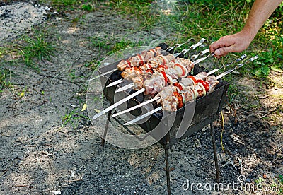 Cooking barbecue with vegetables on skewers. Roasted meat on the grill Stock Photo