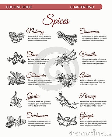 Cooking book spices ingredients page Vector Illustration